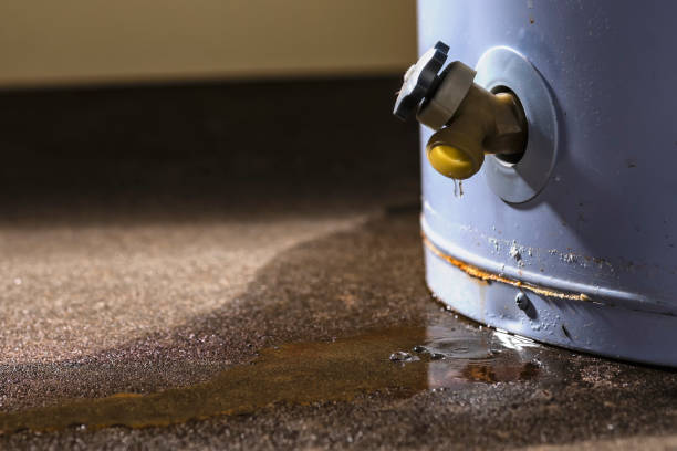 Best Emergency water damage restoration  in West Columbia, TX