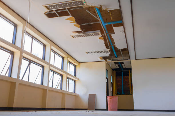 Best Sewage cleanup and water damage restoration  in West Columbia, TX