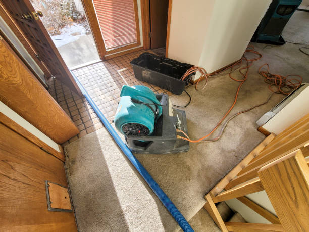 Best Emergency water damage restoration  in West Columbia, TX