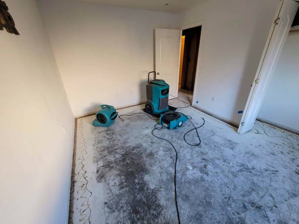 Best Flood damage cleanup  in West Columbia, TX